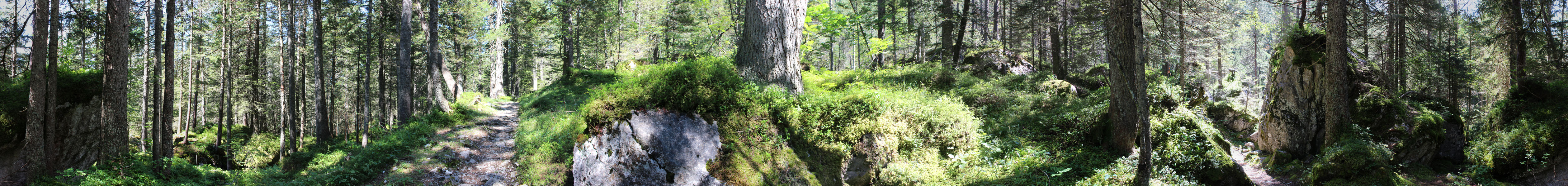 Wildheuerpfad 3 - 2015