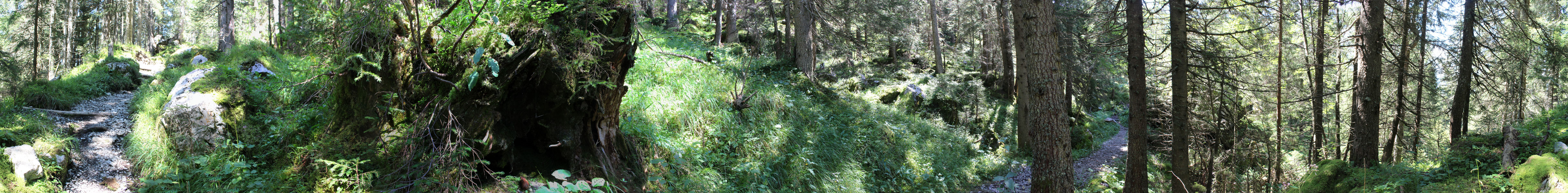 Wildheuerpfad 4 - 2015